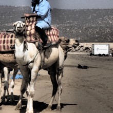 IWT BoxVan Moroccan Desert