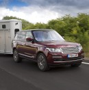 Ifor Williams horse trailer