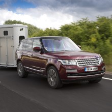 Ifor Williams horse trailer