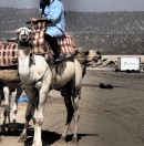 IWT BoxVan Moroccan Desert