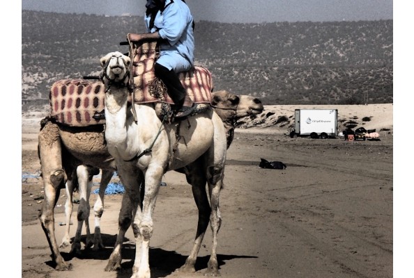 IWT BoxVan Moroccan Desert